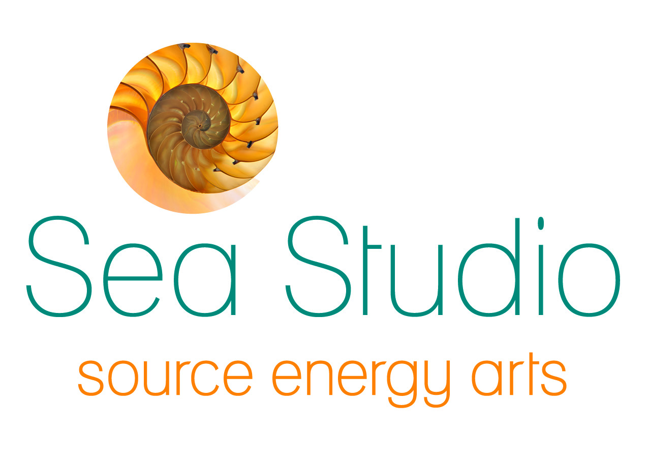 Sea Studio Logo FNL